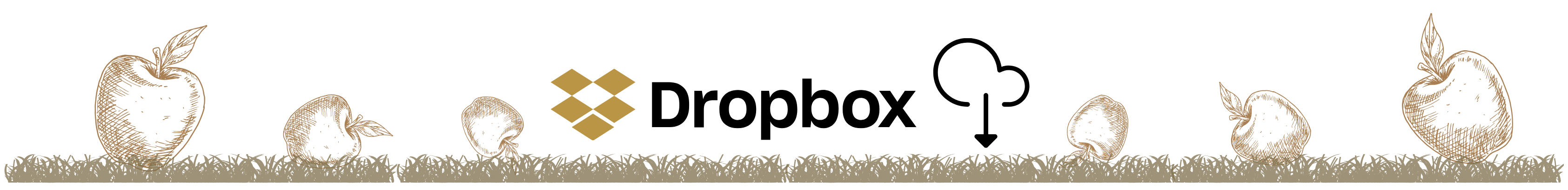 Dropbox Link
