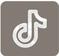 icon_tiktok